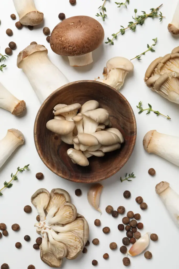 Mushrooms, concept of autumn food, autumn harvest